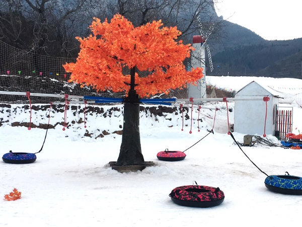 Snow rotation