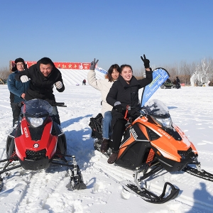 Snow mobile