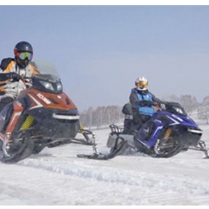 Snow mobile