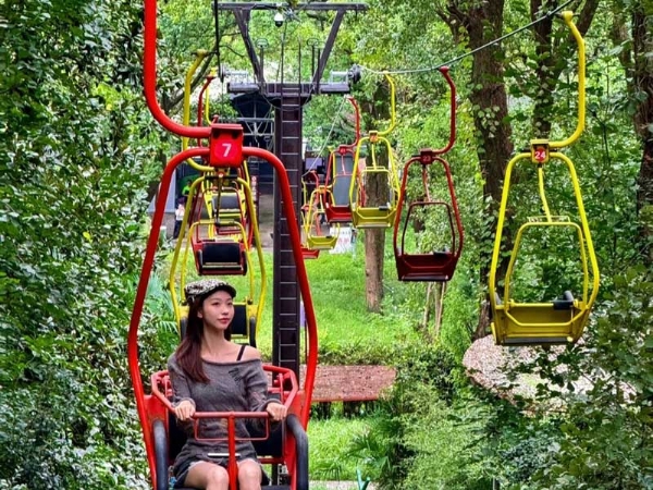 Low-altitude cable car