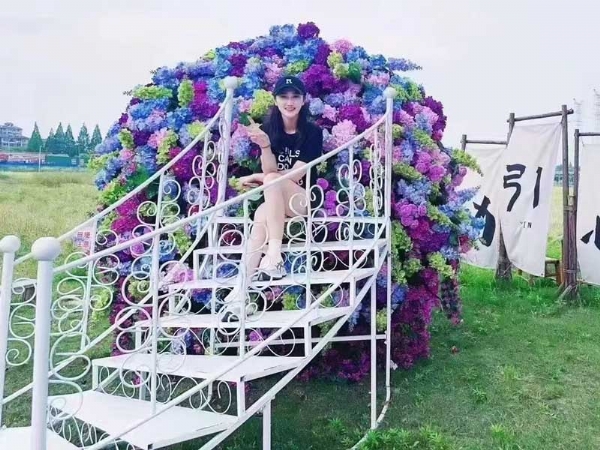Internet celebrity bridge
