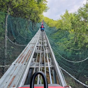 Monorail trolley