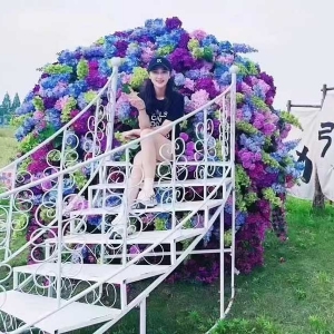 Internet celebrity bridge