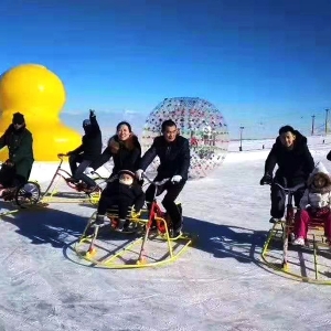 冰雪地自行車(chē)